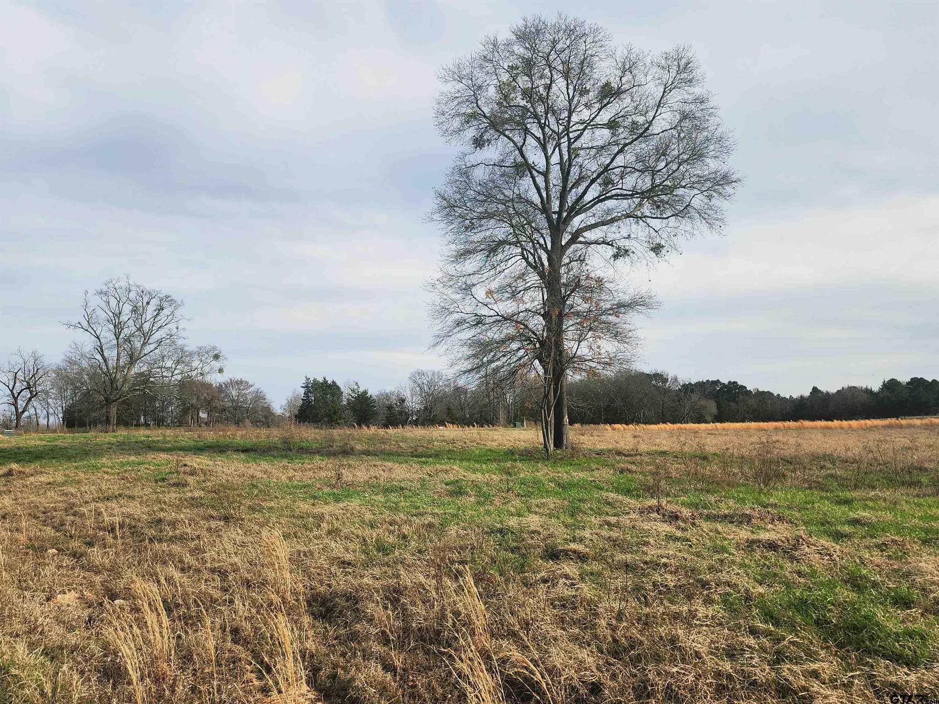 1.14 acres in Camp County - photo 3