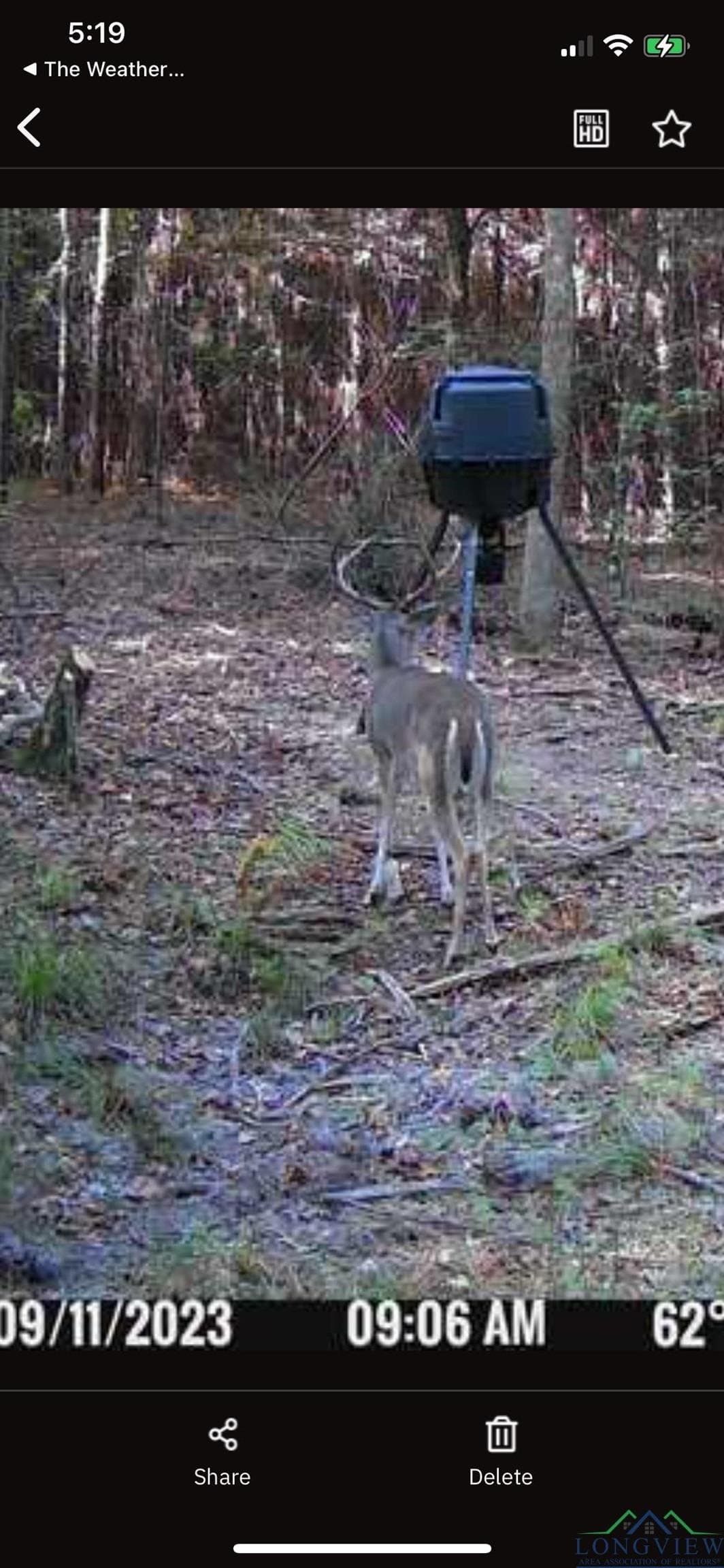 182.63 acres in Marion County gallery image 4