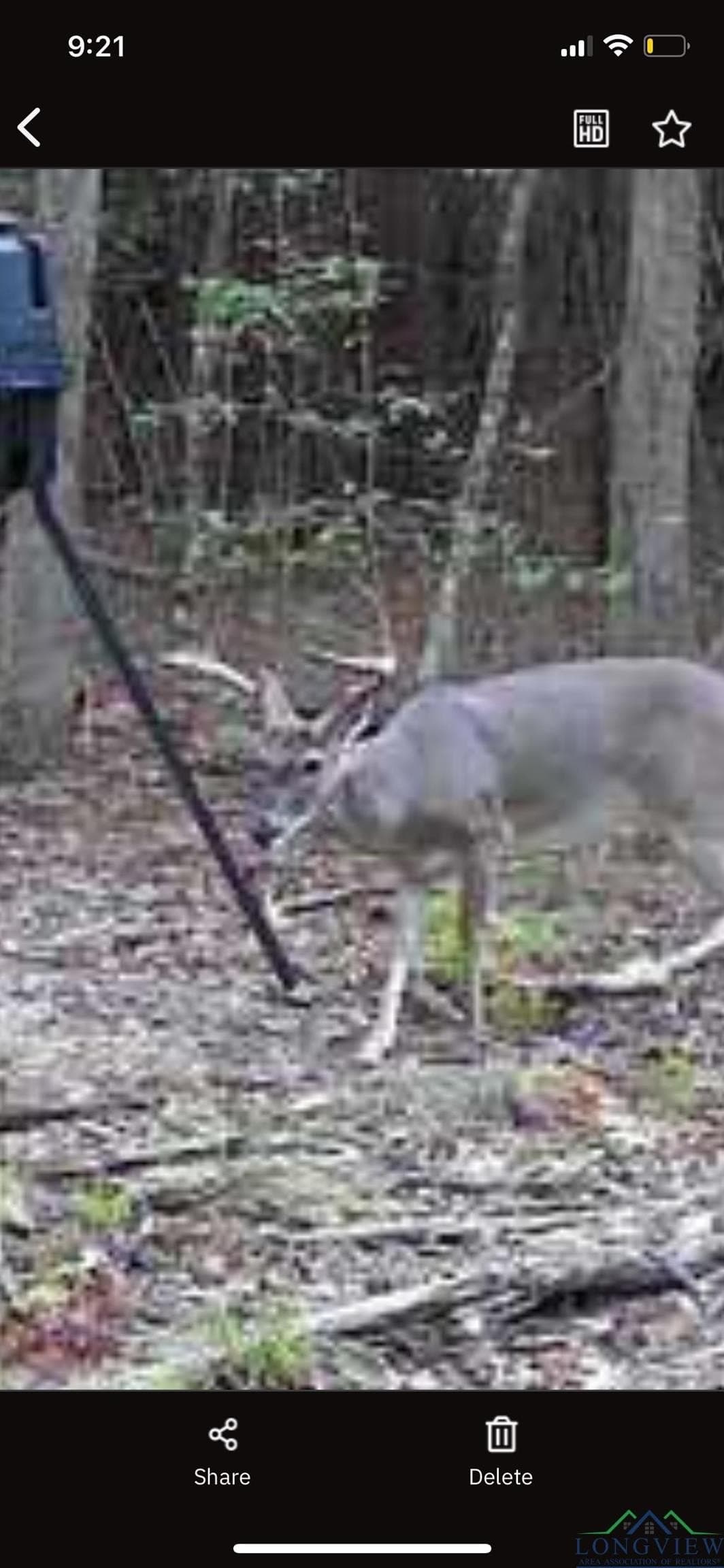 182.63 acres in Marion County featured view