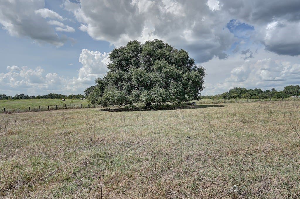 16.74 acres in Washington County - photo 9