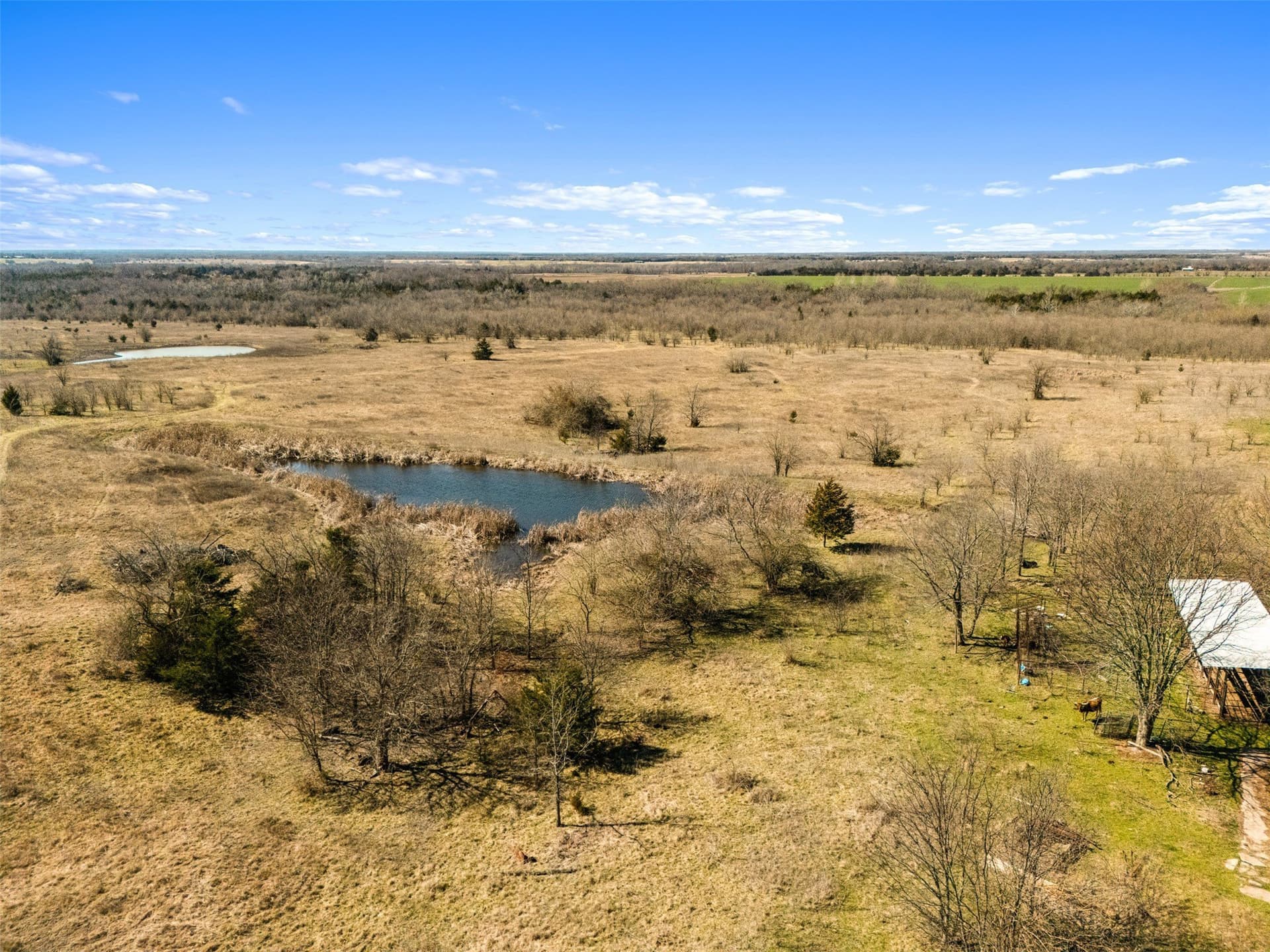 142.85 acres in Lamar County - photo 7