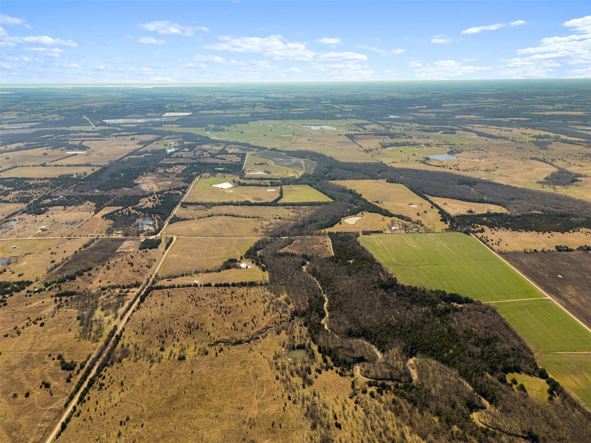 142.85 acres in Lamar County - photo 11