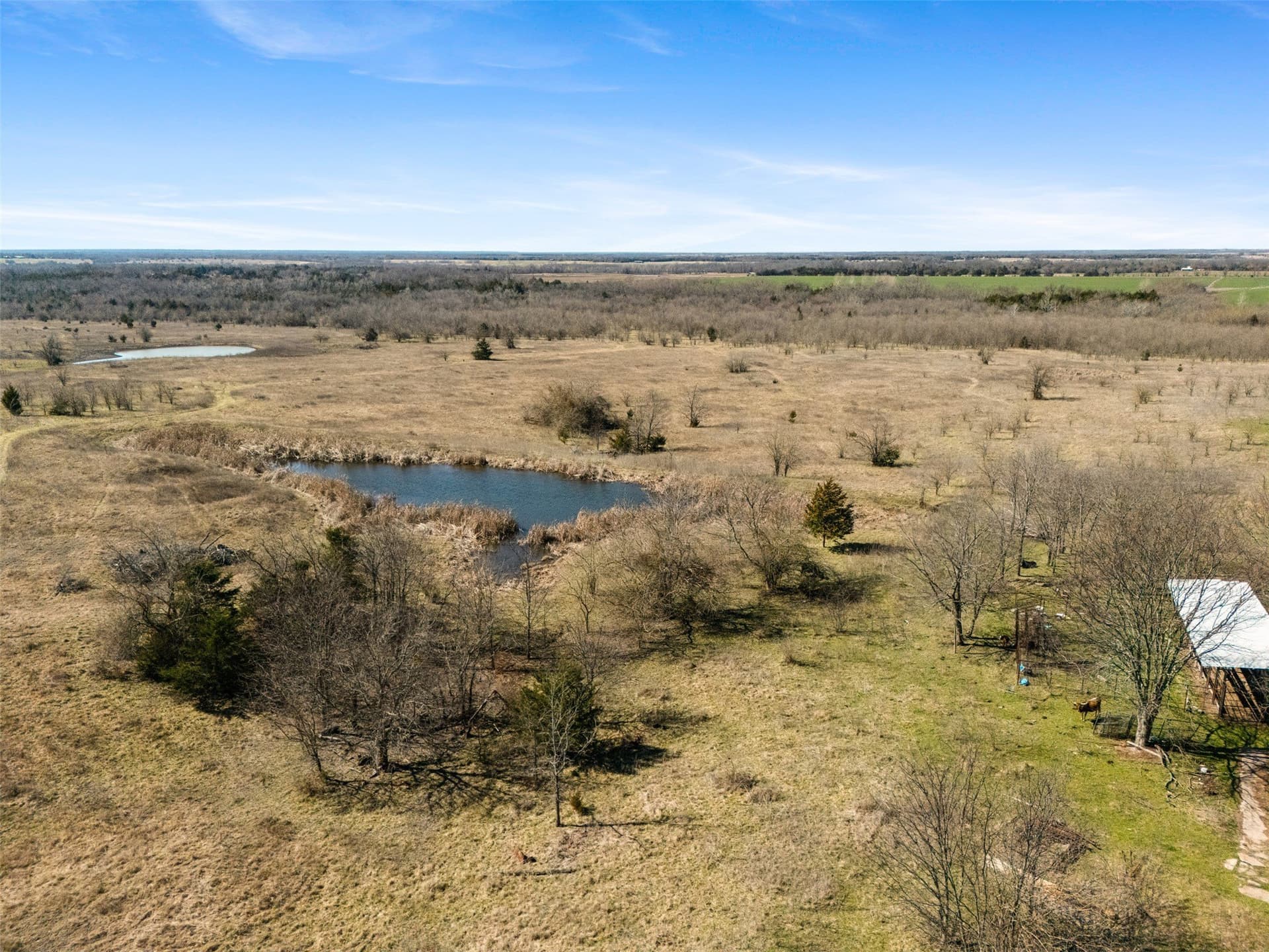 142.85 acres in Lamar County - photo 21