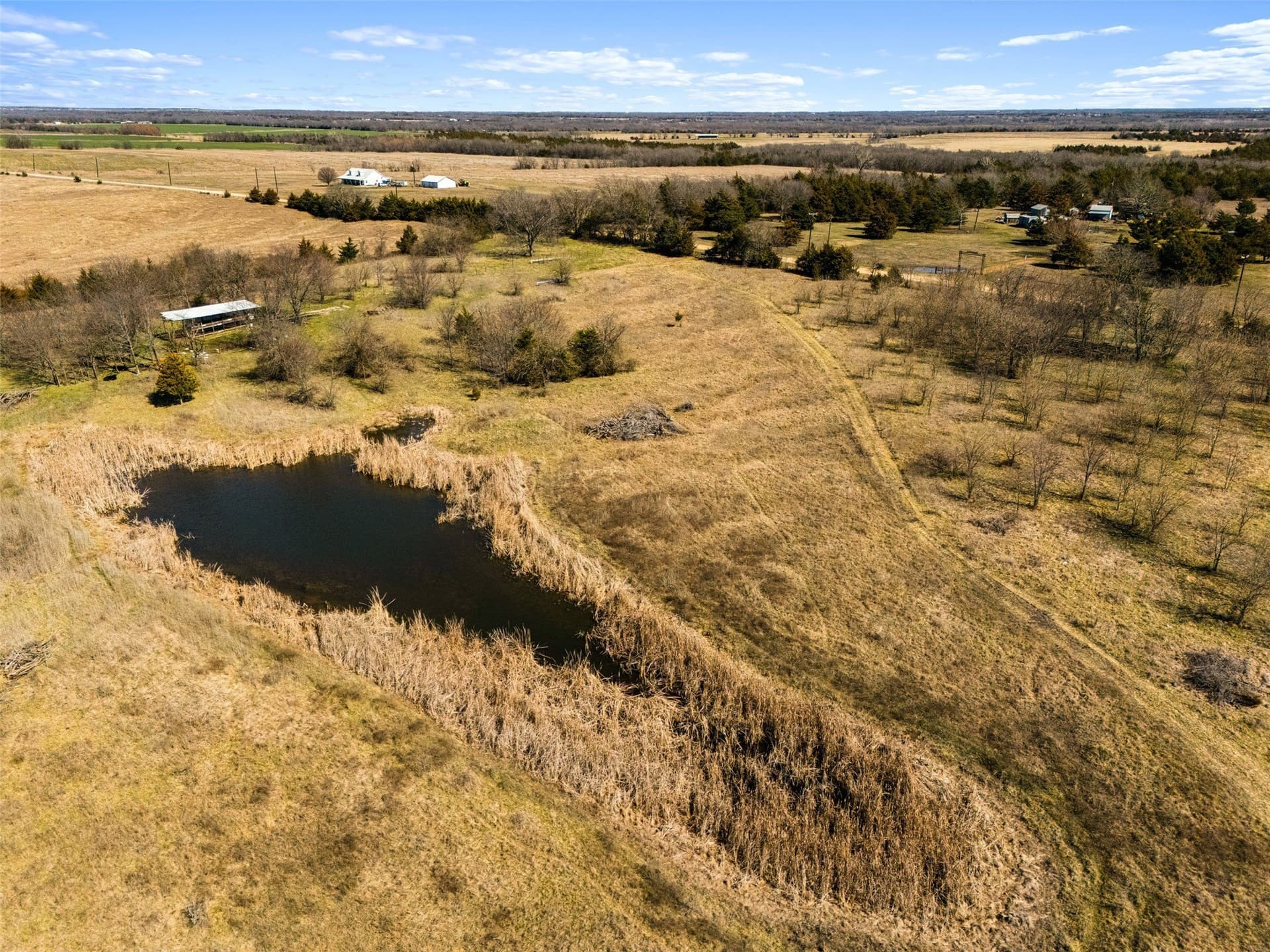 142.85 acres in Lamar County - photo 12