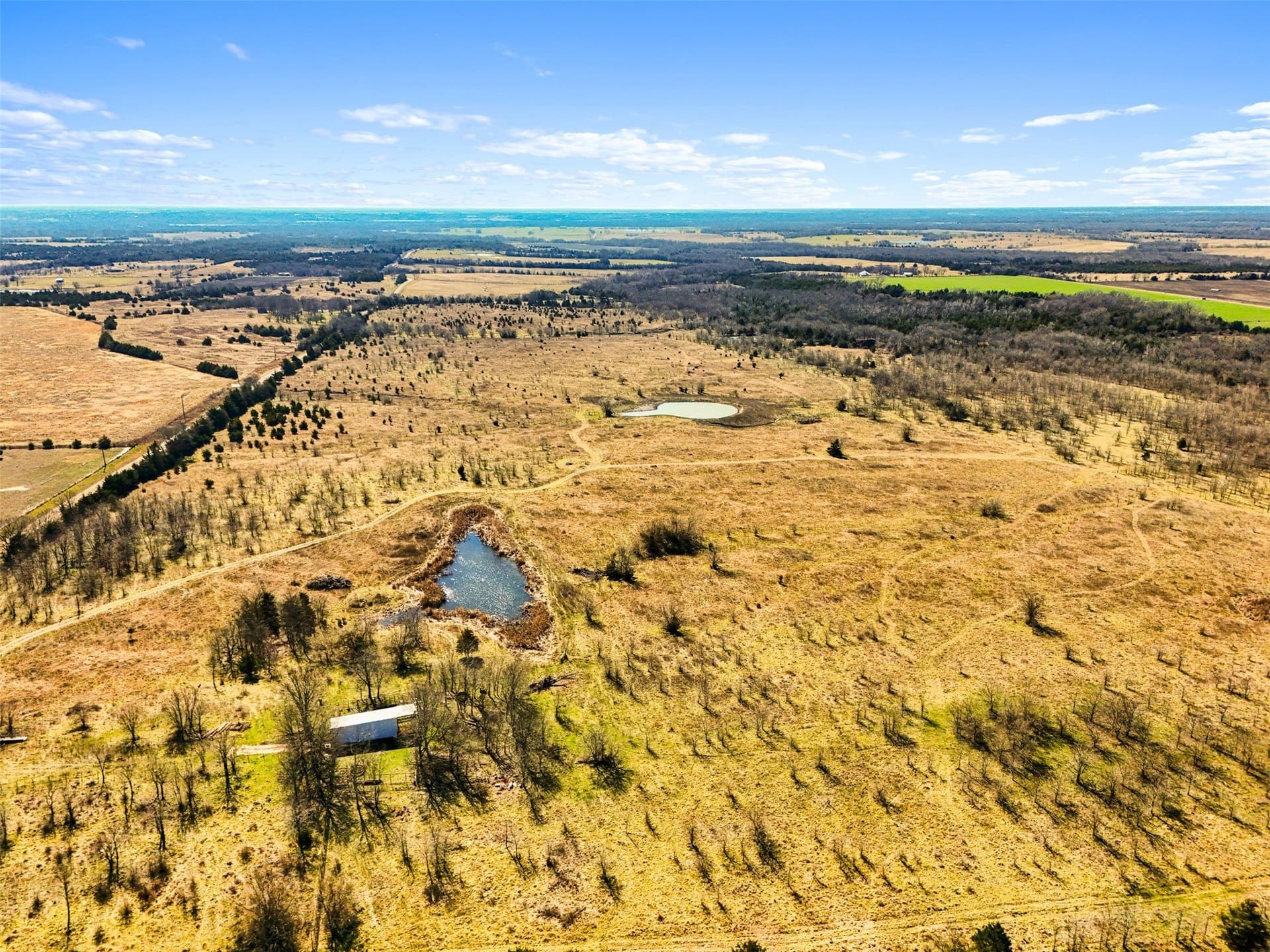 142.85 acres in Lamar County - photo 10