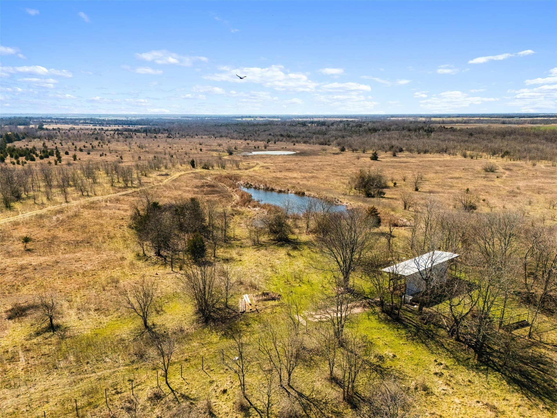 142.85 acres in Lamar County - photo 6