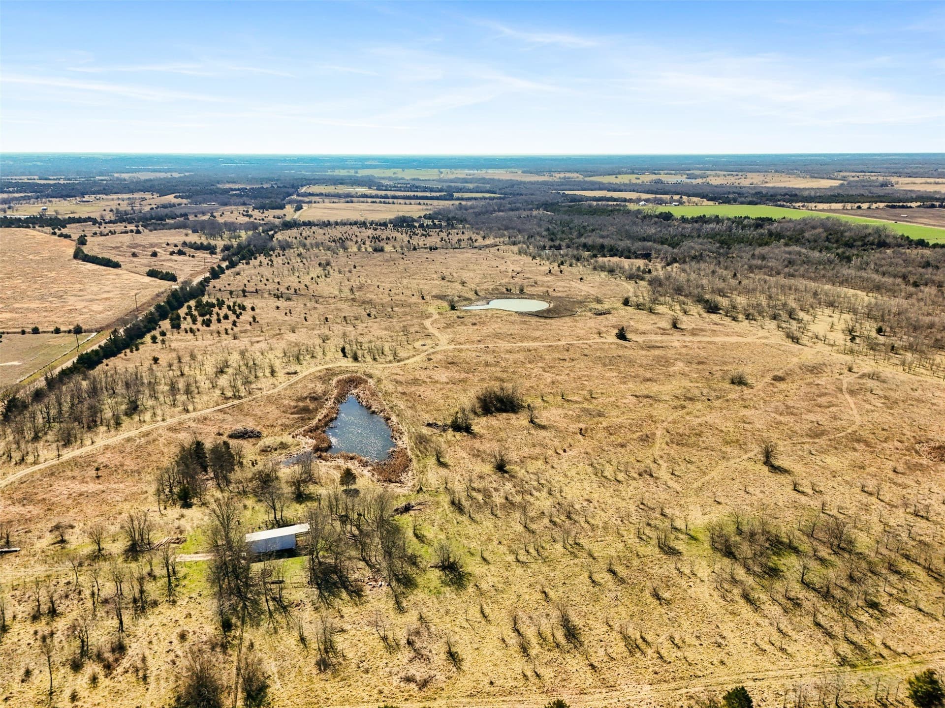 142.85 acres in Lamar County - photo 15
