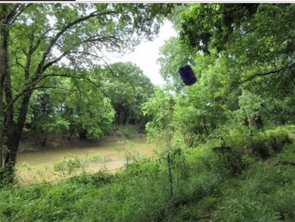31.62 acres in Wise County gallery image 2