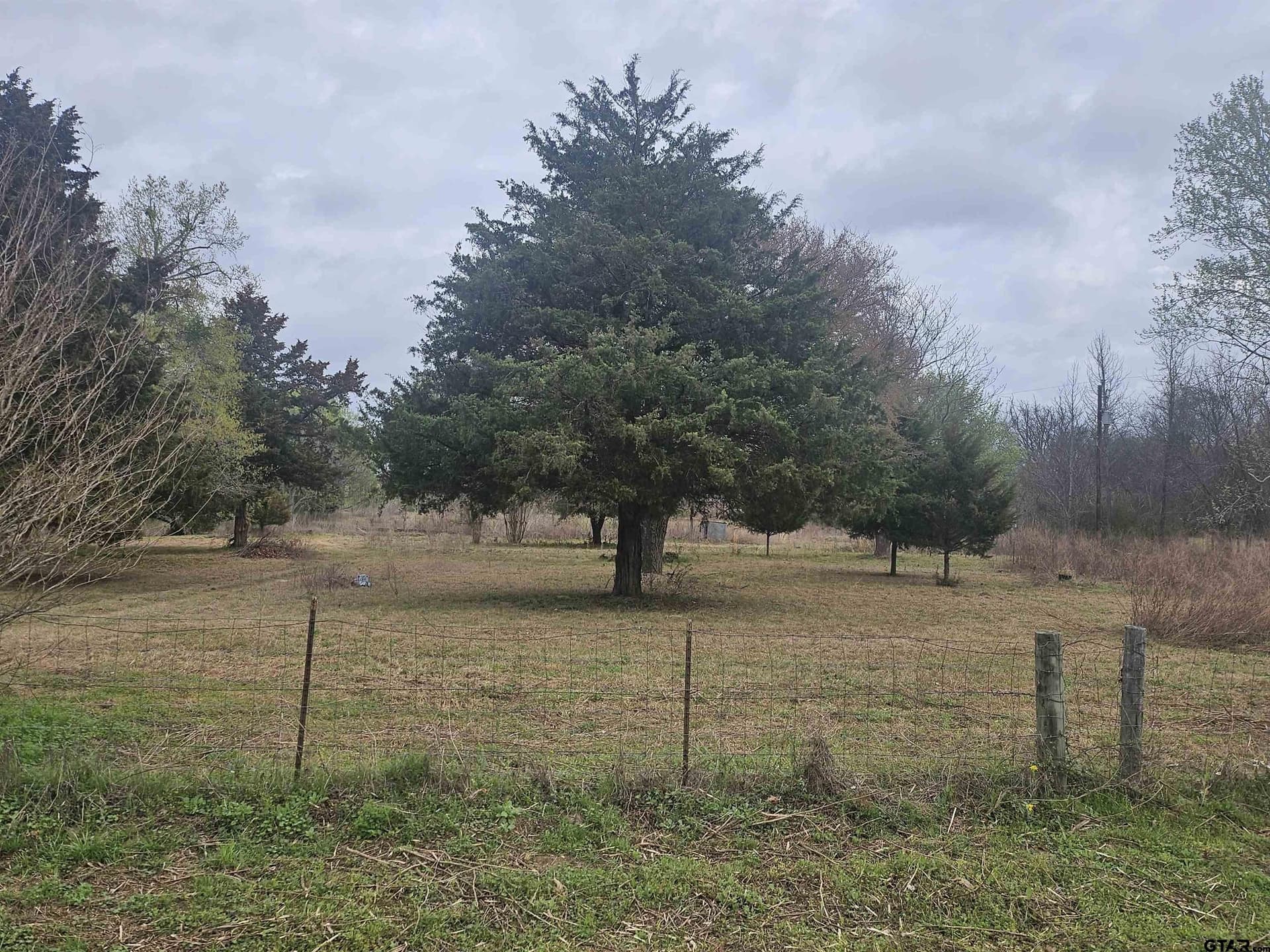 5 acres in Smith County gallery image 2