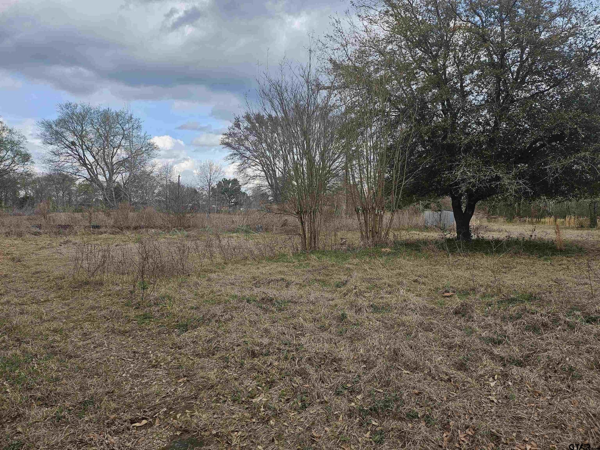 5 acres in Smith County gallery image 3