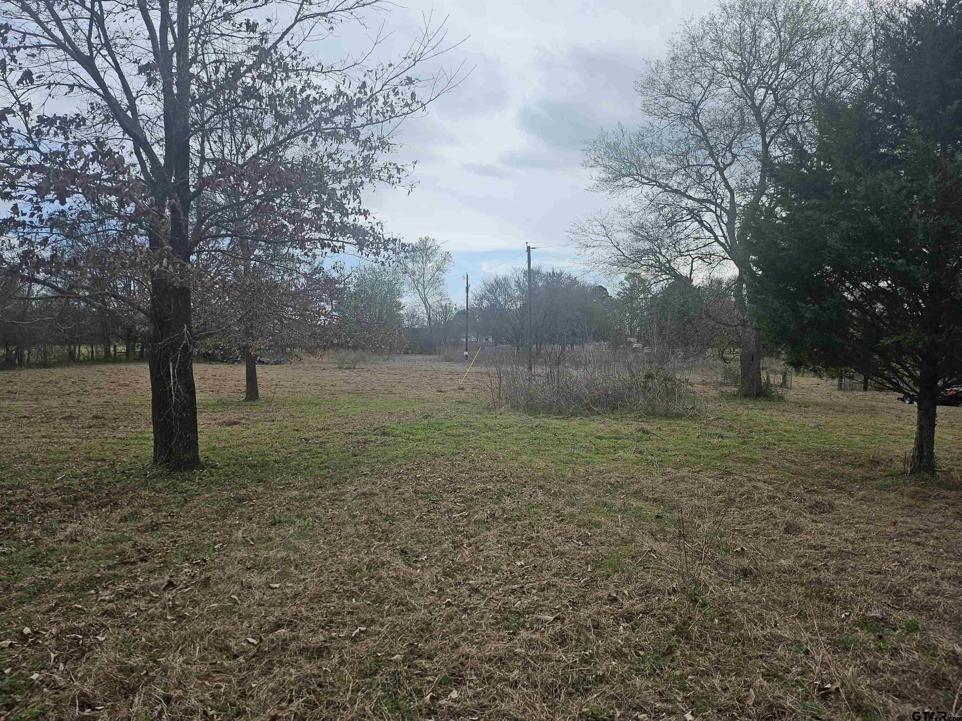 5 acres in Smith County gallery image 4