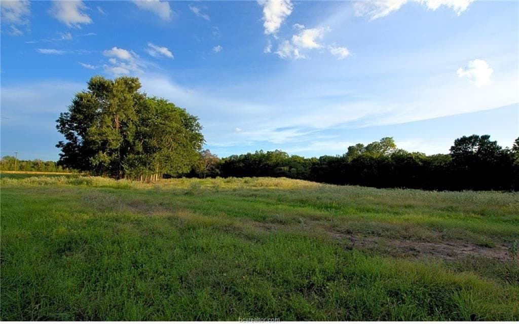 6.38 acres in Robertson County - photo 7
