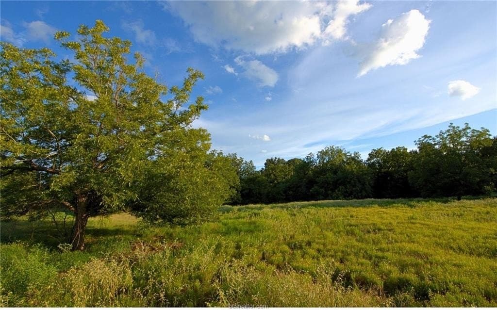 6.38 acres in Robertson County - photo 6