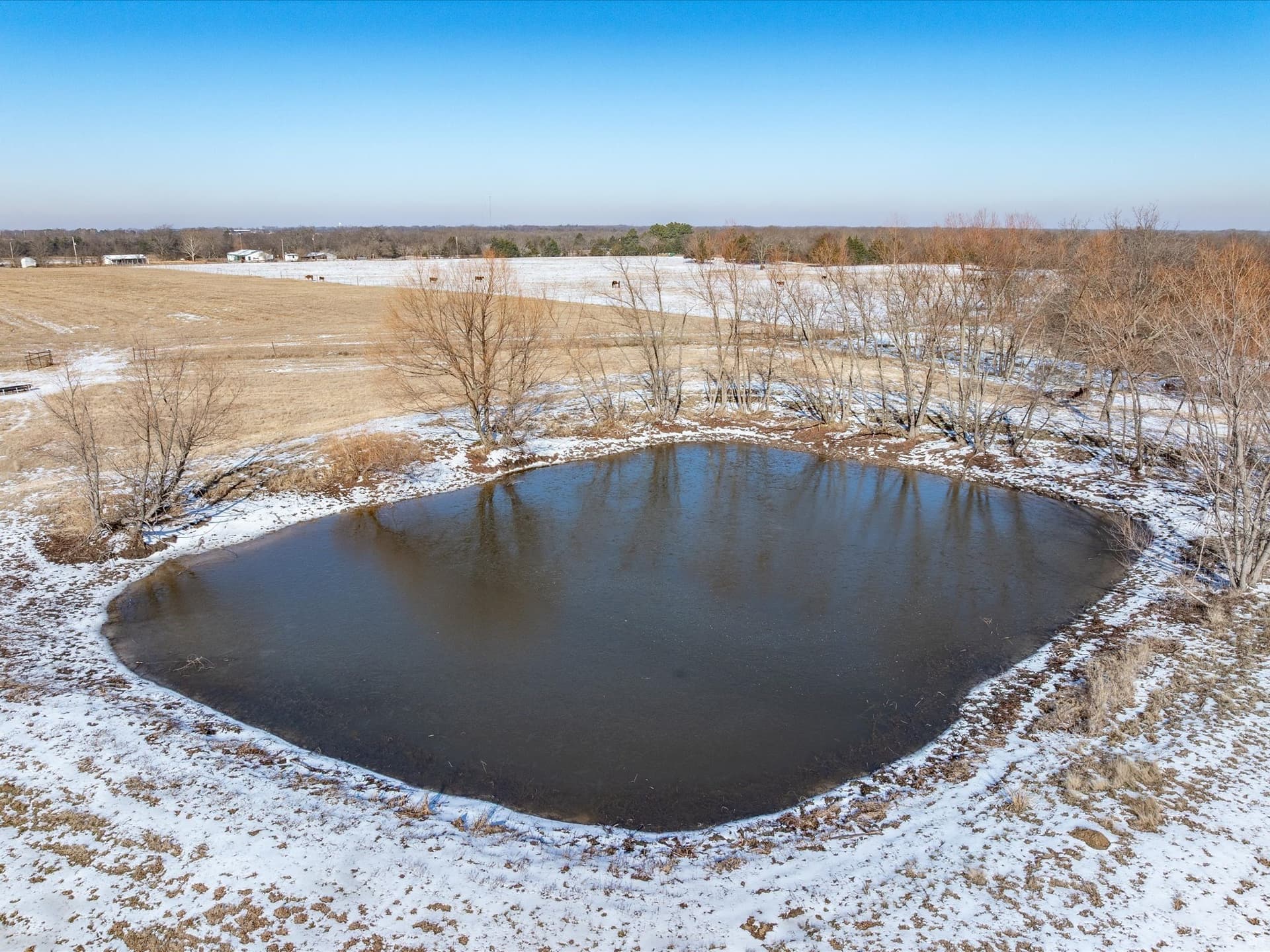 10.26 acres in Rains County - photo 18