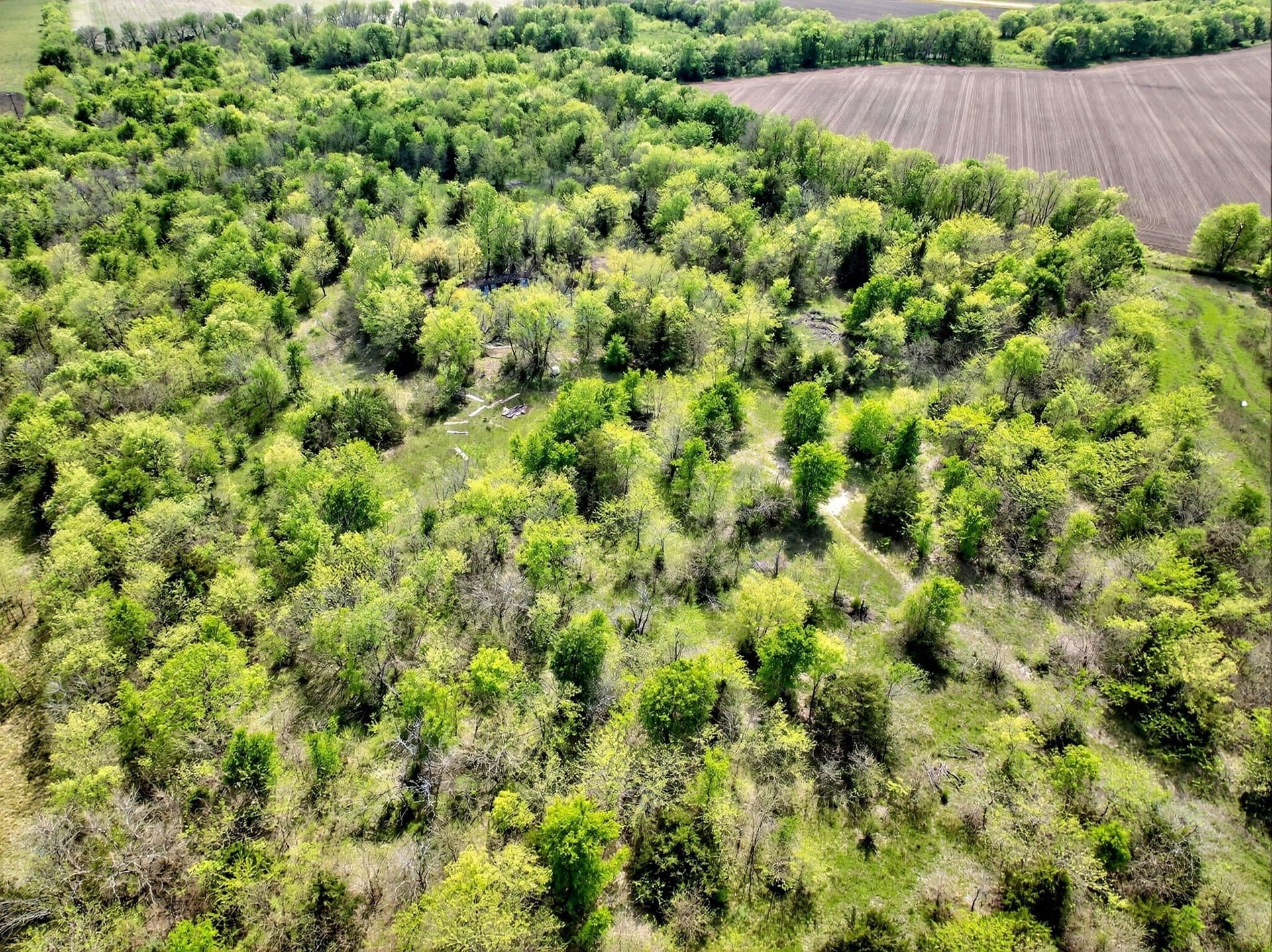 20.45 acres in Hunt County - photo 15