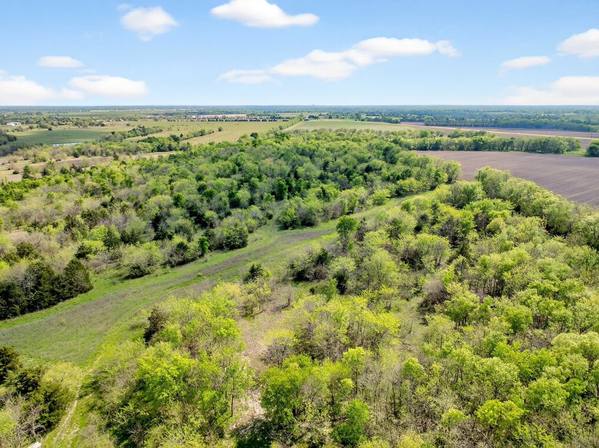 20.45 acres in Hunt County gallery image 4