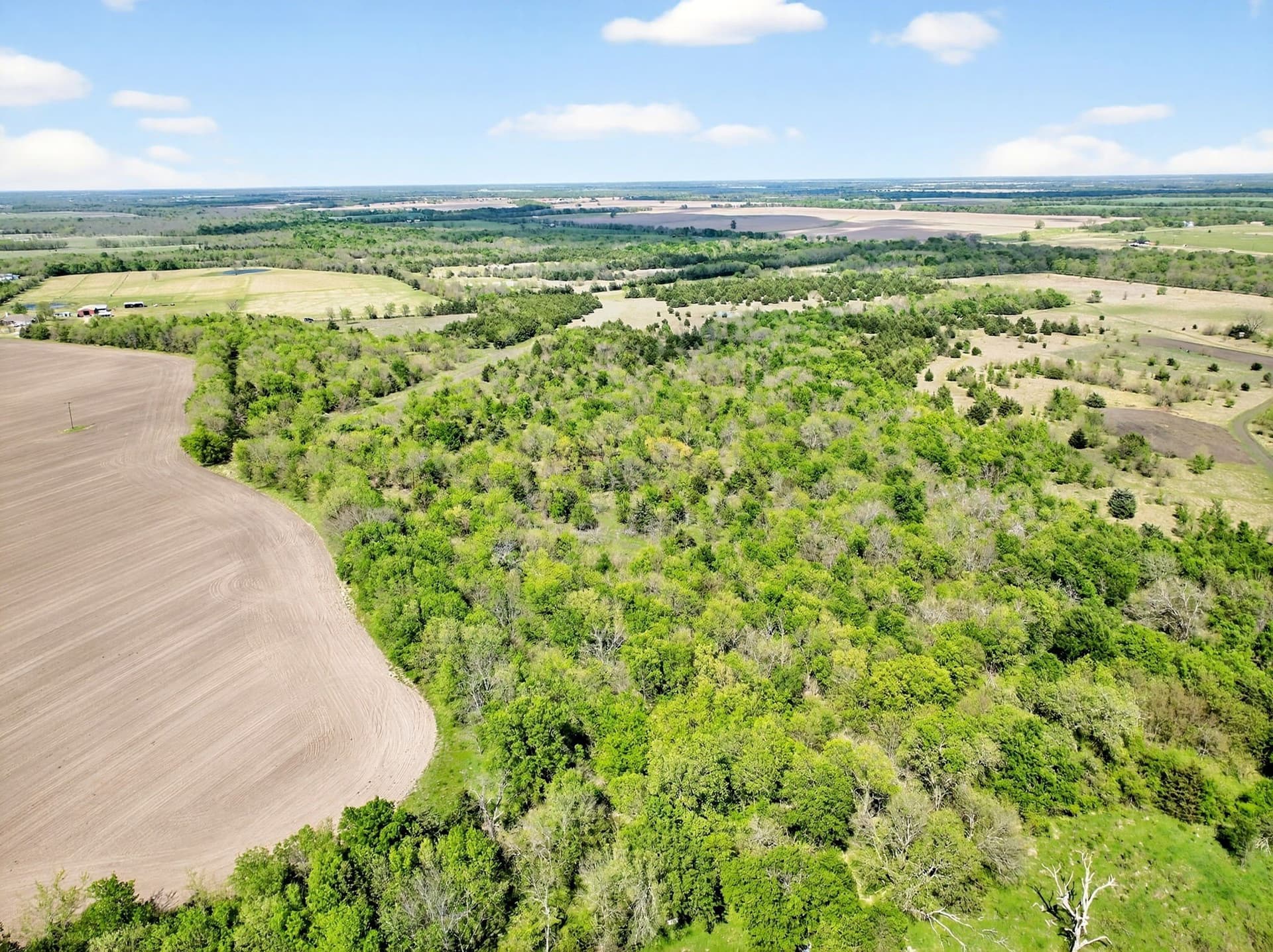 20.45 acres in Hunt County - photo 8