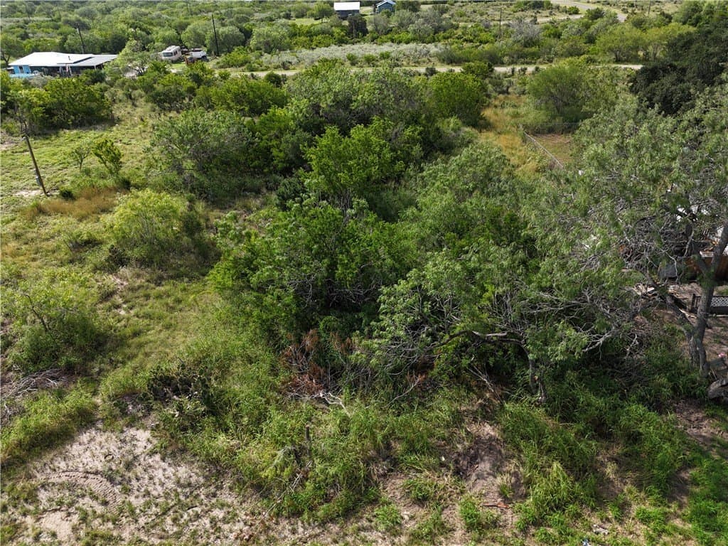 0.35 acres in Live Oak County featured view