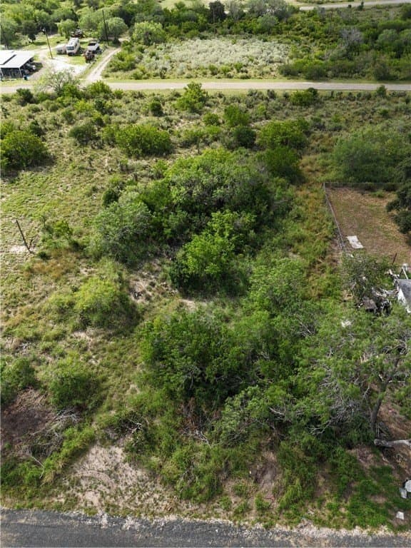 0.35 acres in Live Oak County gallery image 4