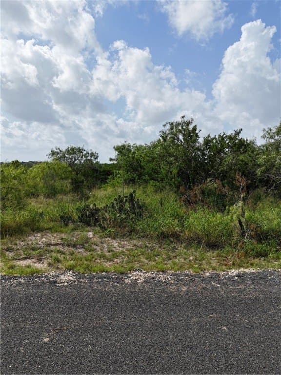 0.35 acres in Live Oak County gallery image 2