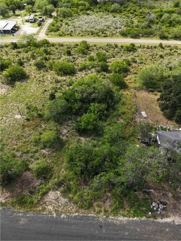 0.35 acres in Live Oak County gallery image 3