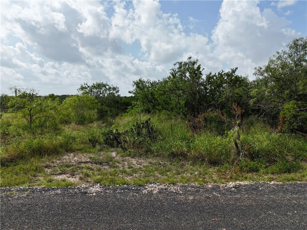 0.35 acres in Live Oak County