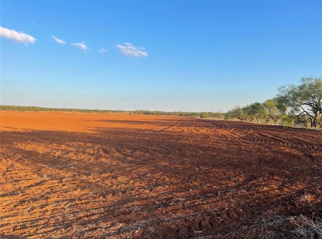 30 acres in Taylor County gallery image 2