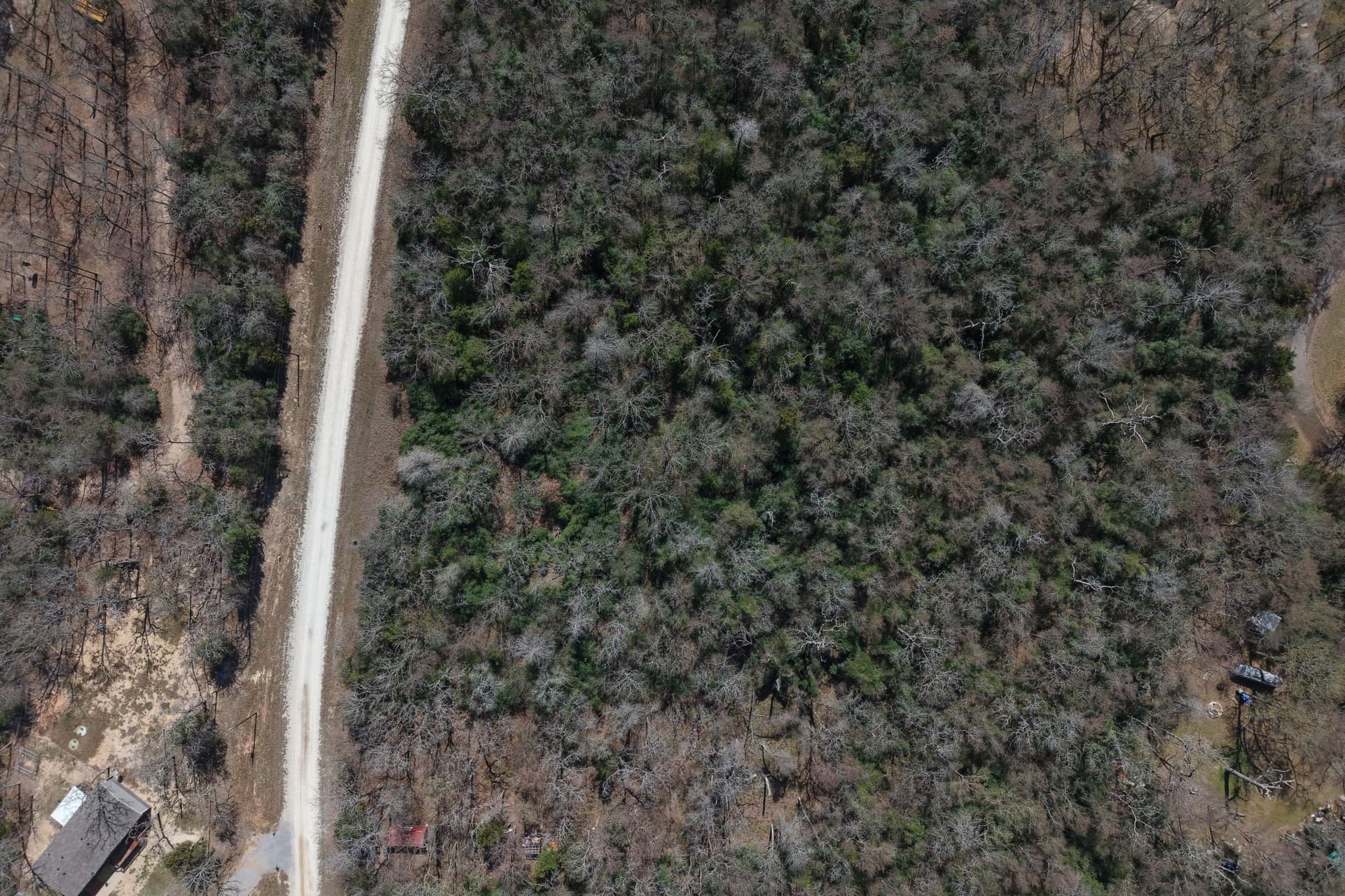 0.52 acres in Limestone County gallery image 3