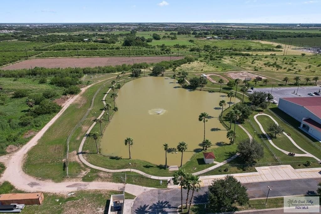 0.06 acres in HIDALGO County - photo 25