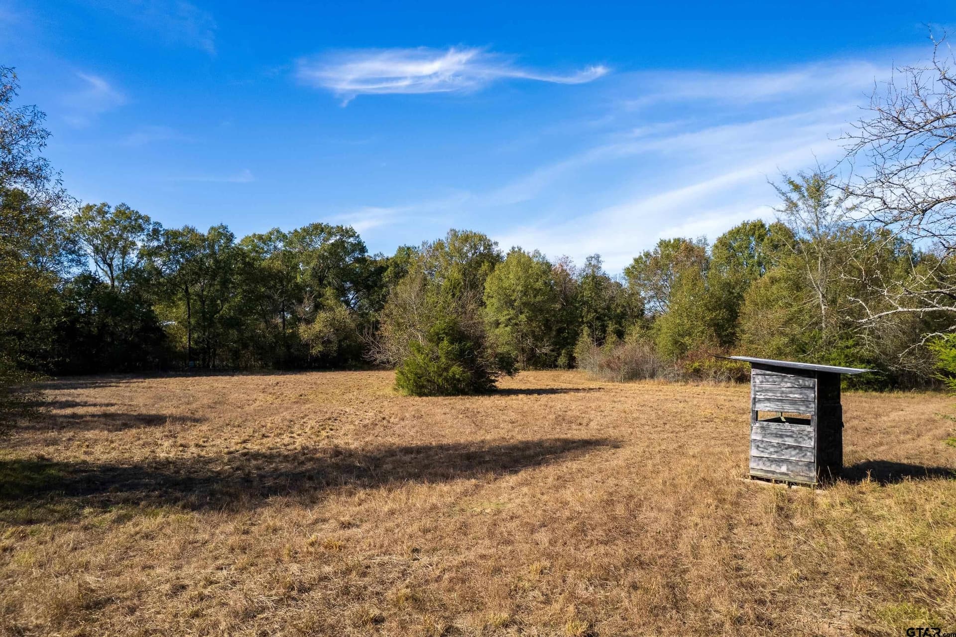 38.79 acres in Titus County gallery image 4