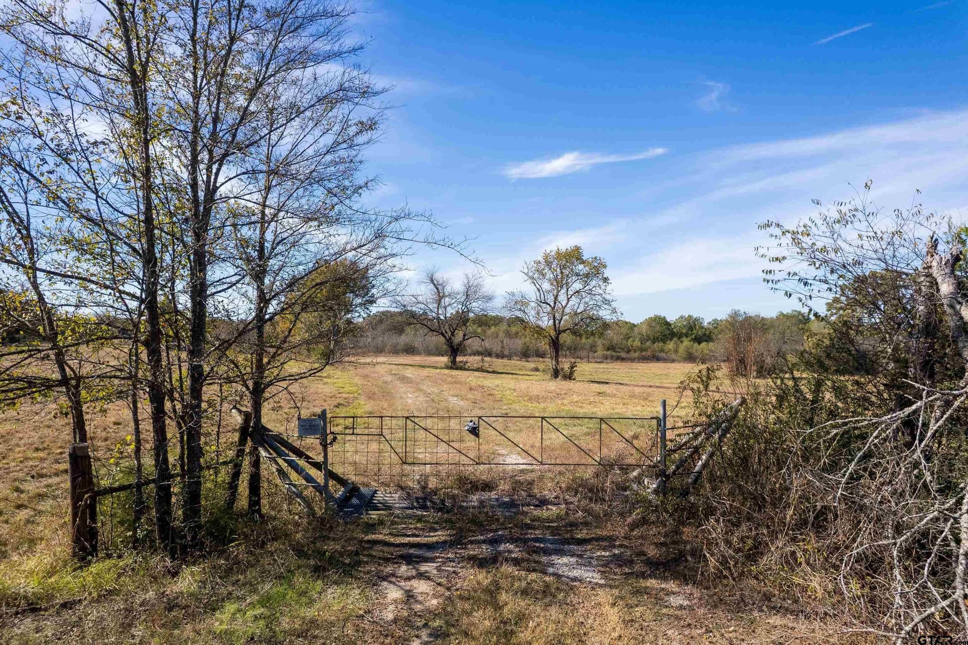 38.79 acres in Titus County gallery image 3