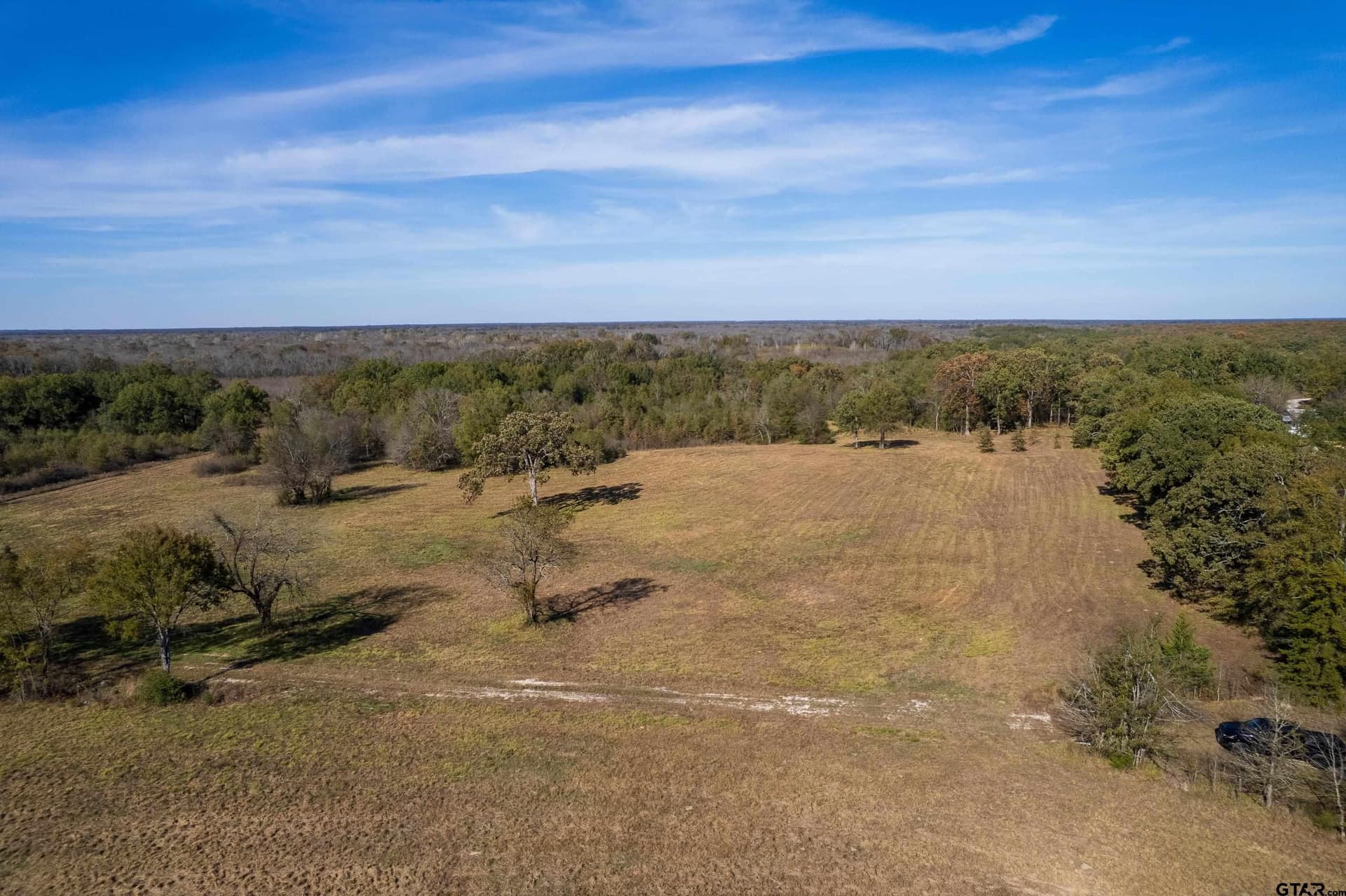 38.79 acres in Titus County