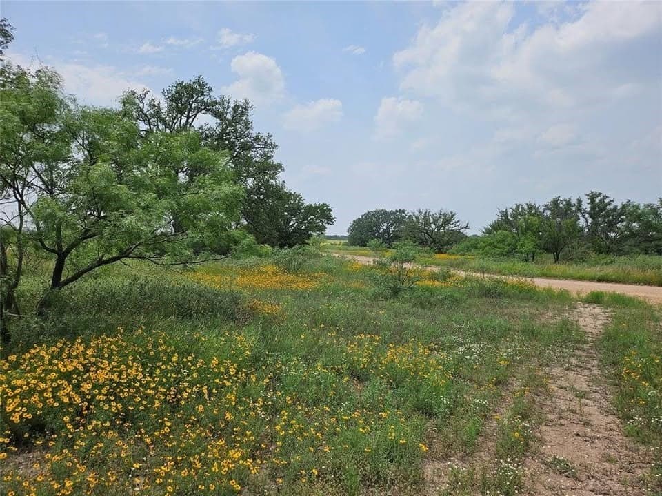 45.09 acres in Mason County - photo 3