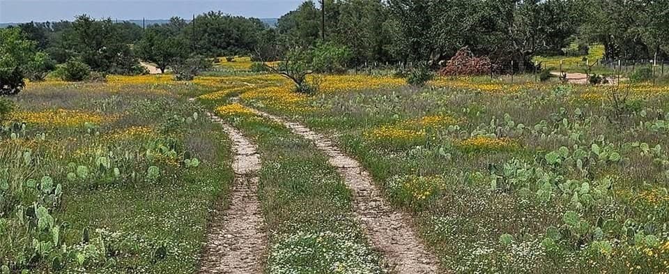 45.09 acres in Mason County