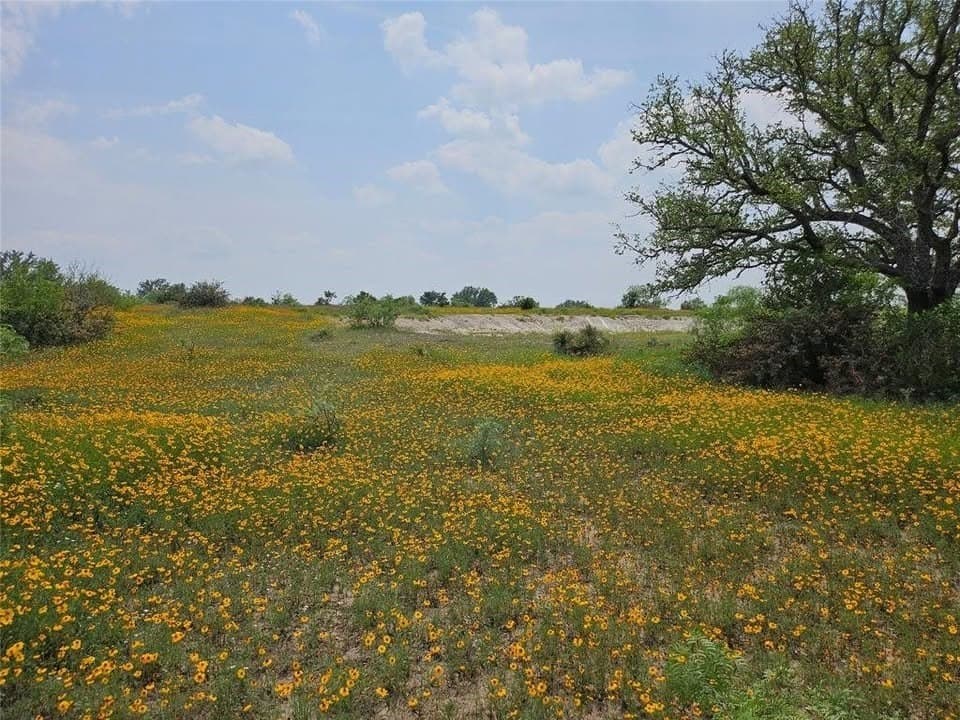 45.09 acres in Mason County - photo 2