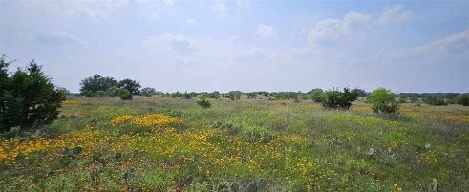 45.09 acres in Mason County - photo 4