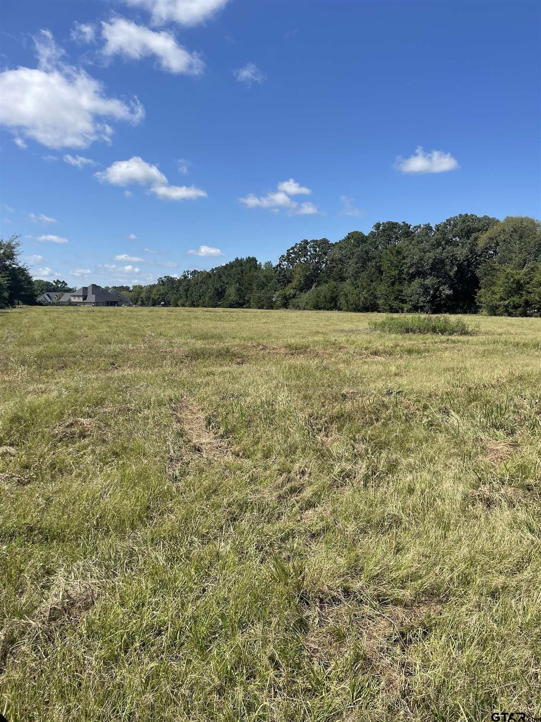 4.33 acres in Smith County - photo 3