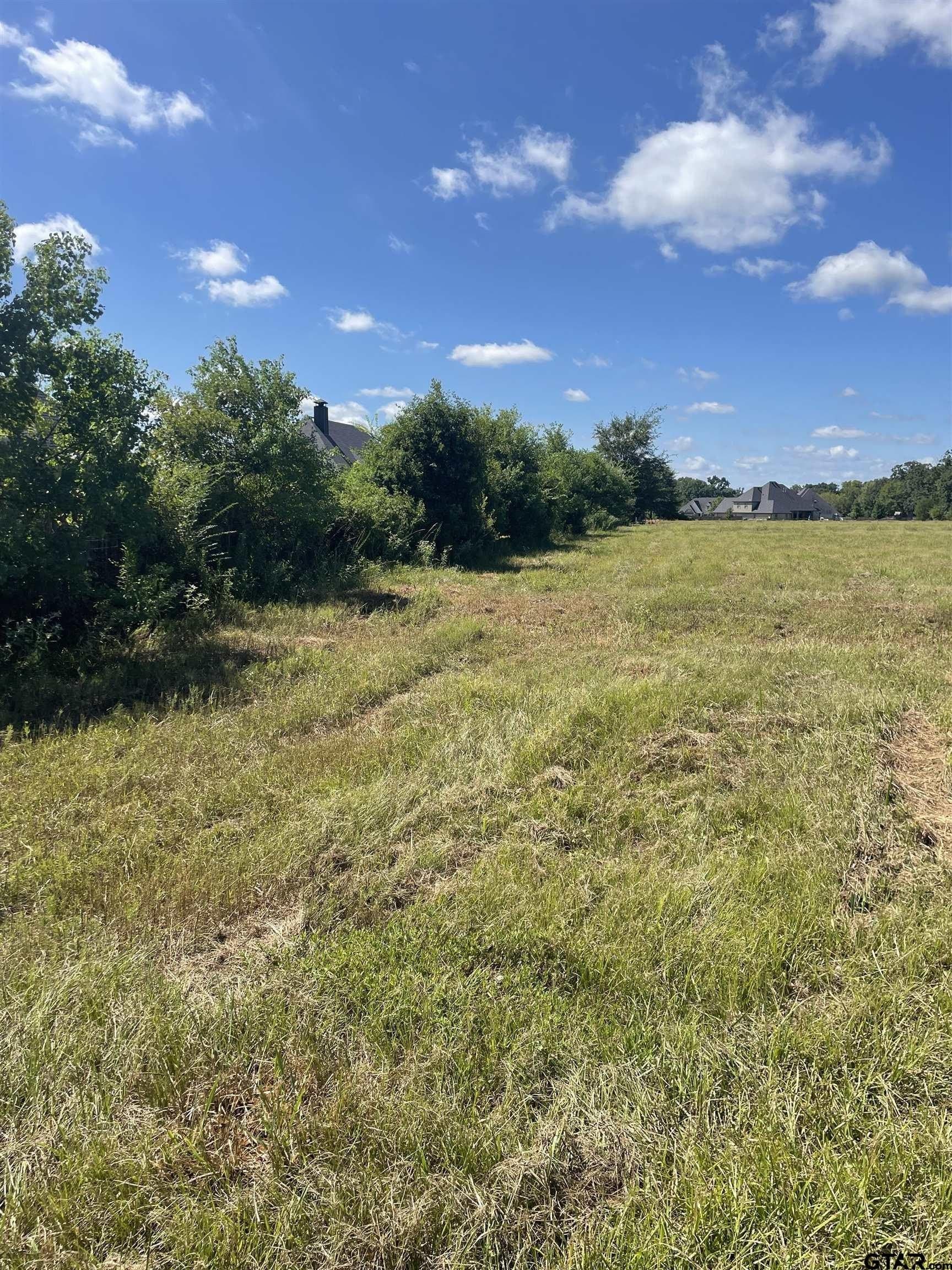 4.33 acres in Smith County - photo 4