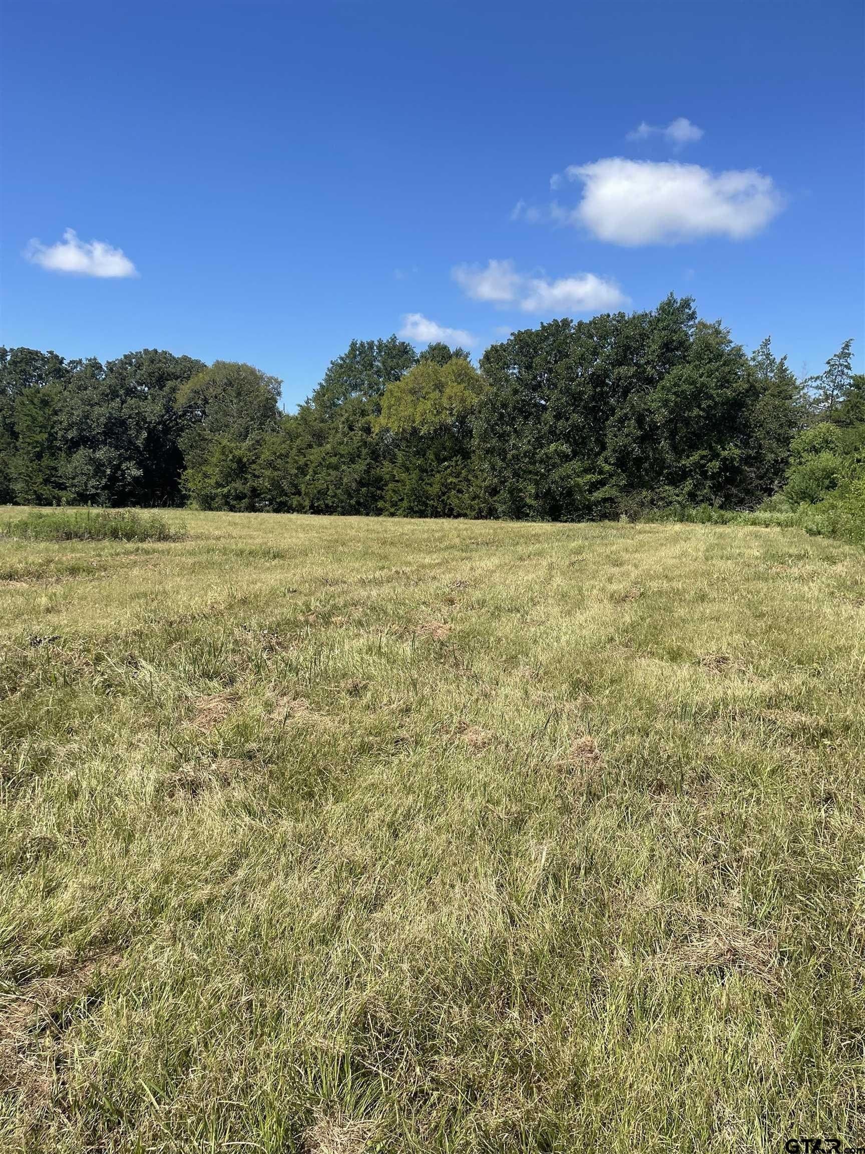 4.33 acres in Smith County - photo 2