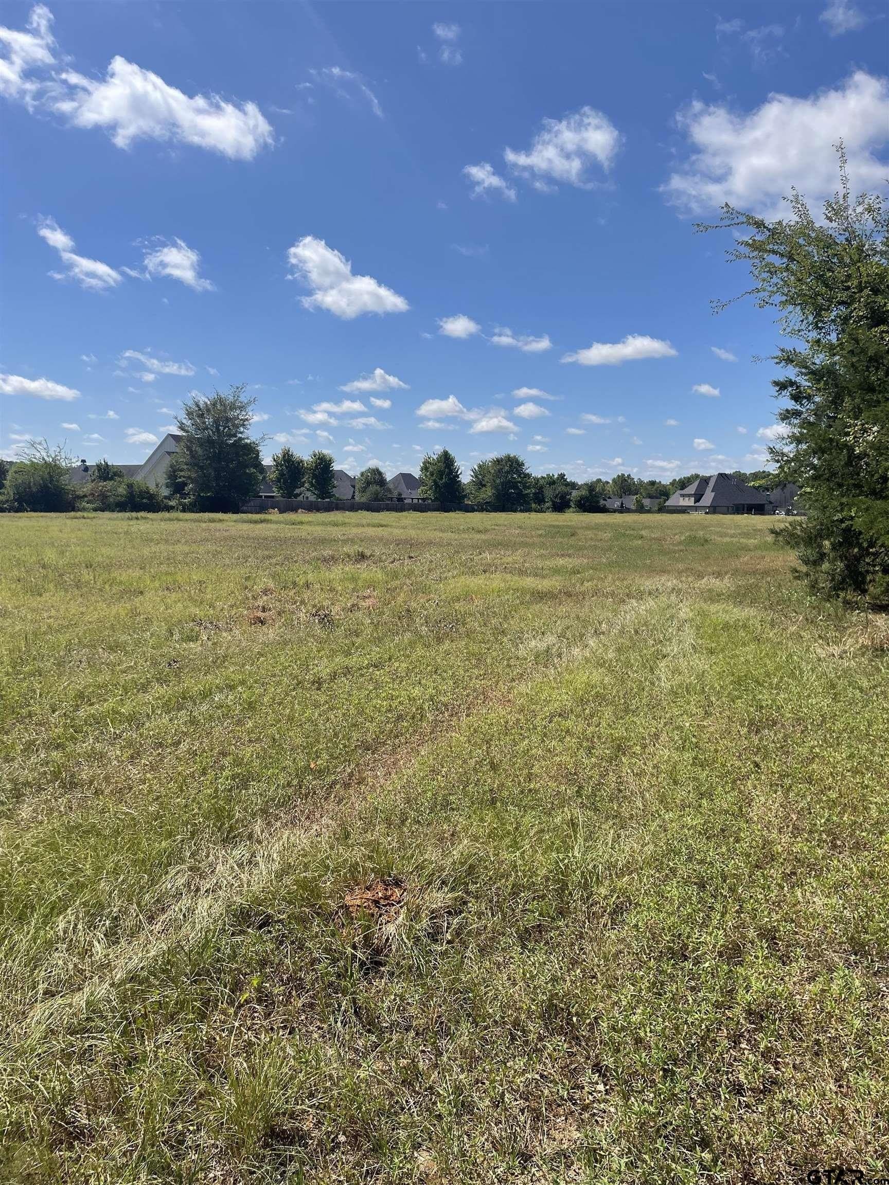 4.33 acres in Smith County - photo 5