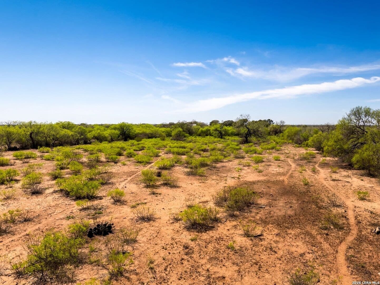 8.61 acres in Bexar County - photo 13