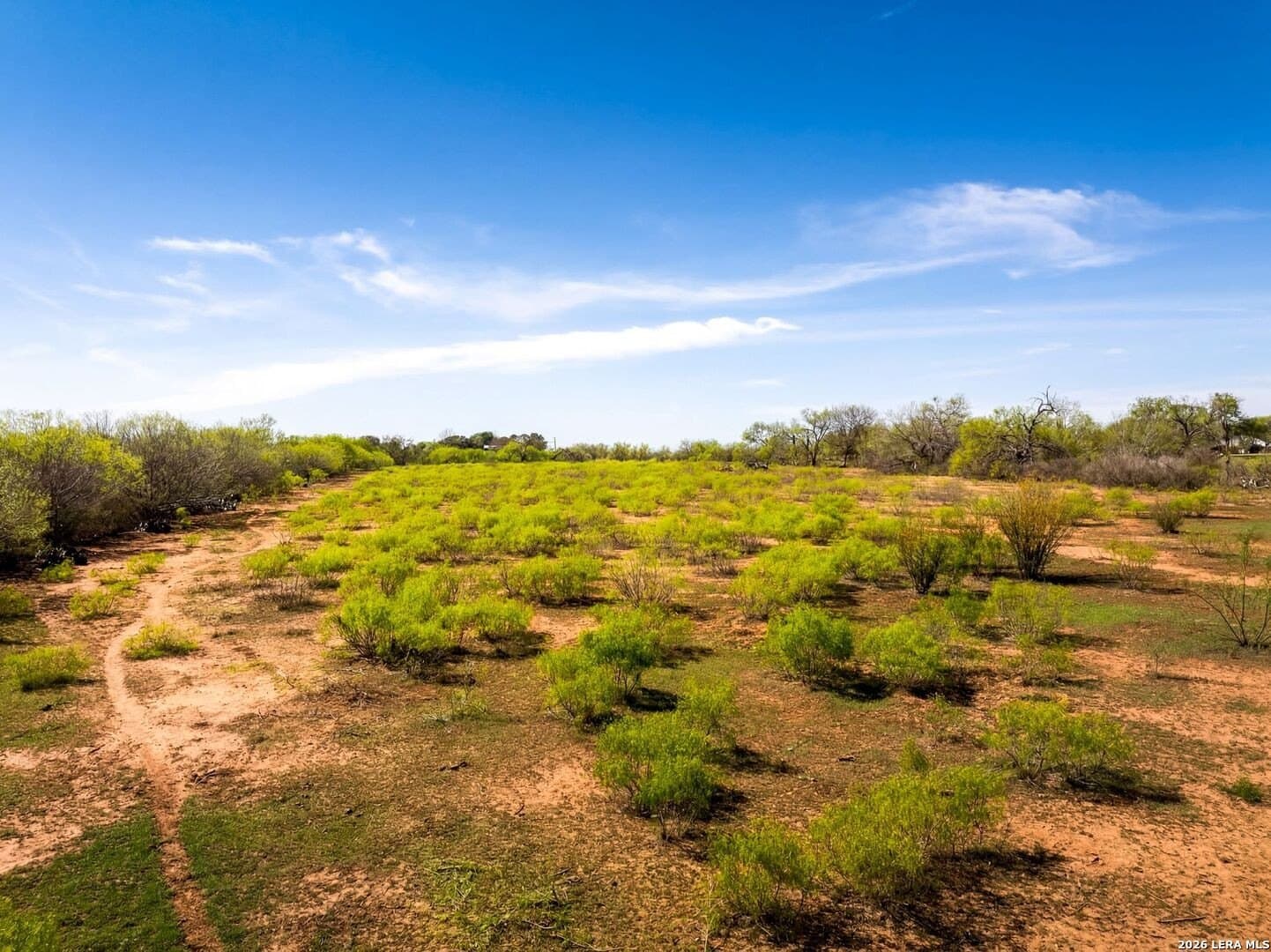 8.61 acres in Bexar County - photo 17