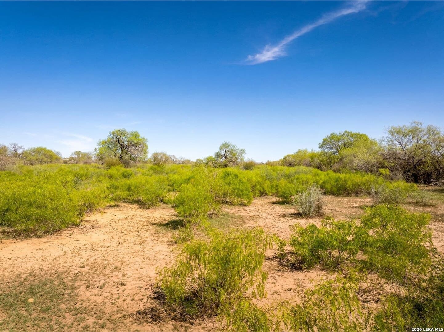 8.61 acres in Bexar County - photo 6