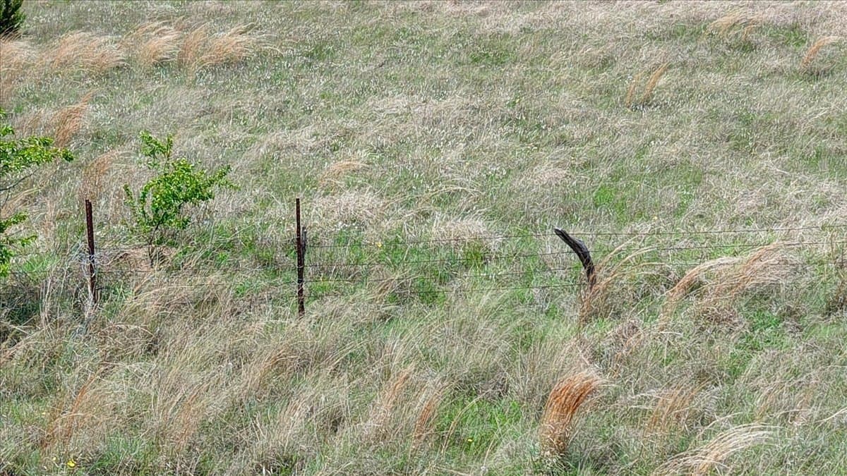 13.92 acres in Hamilton County - photo 9