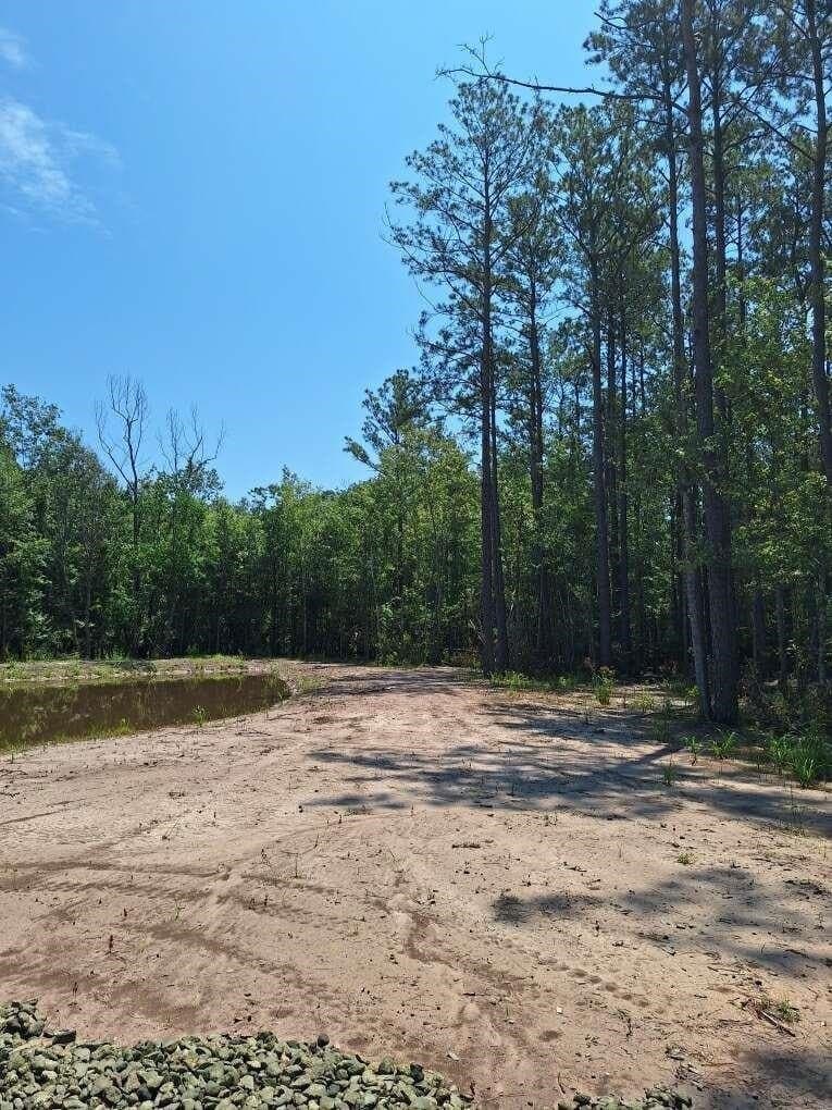 12.42 acres in Texas County - photo 7