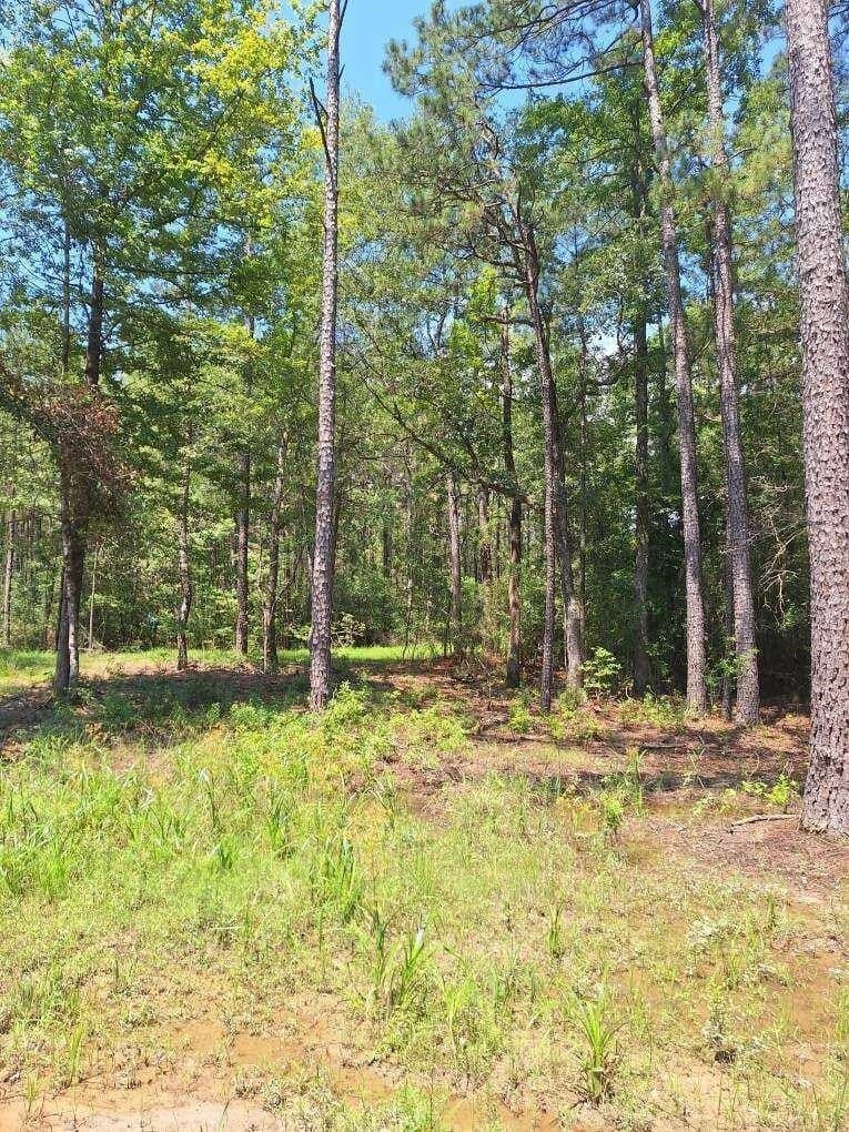 12.42 acres in Texas County - photo 18
