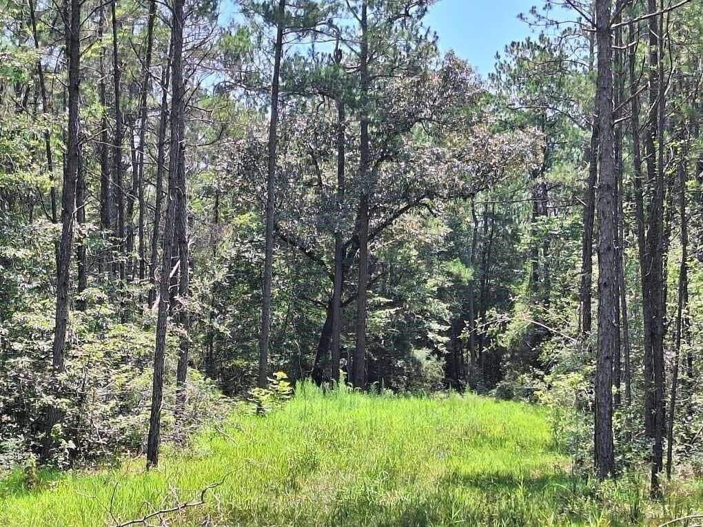 12.42 acres in Texas County - photo 8