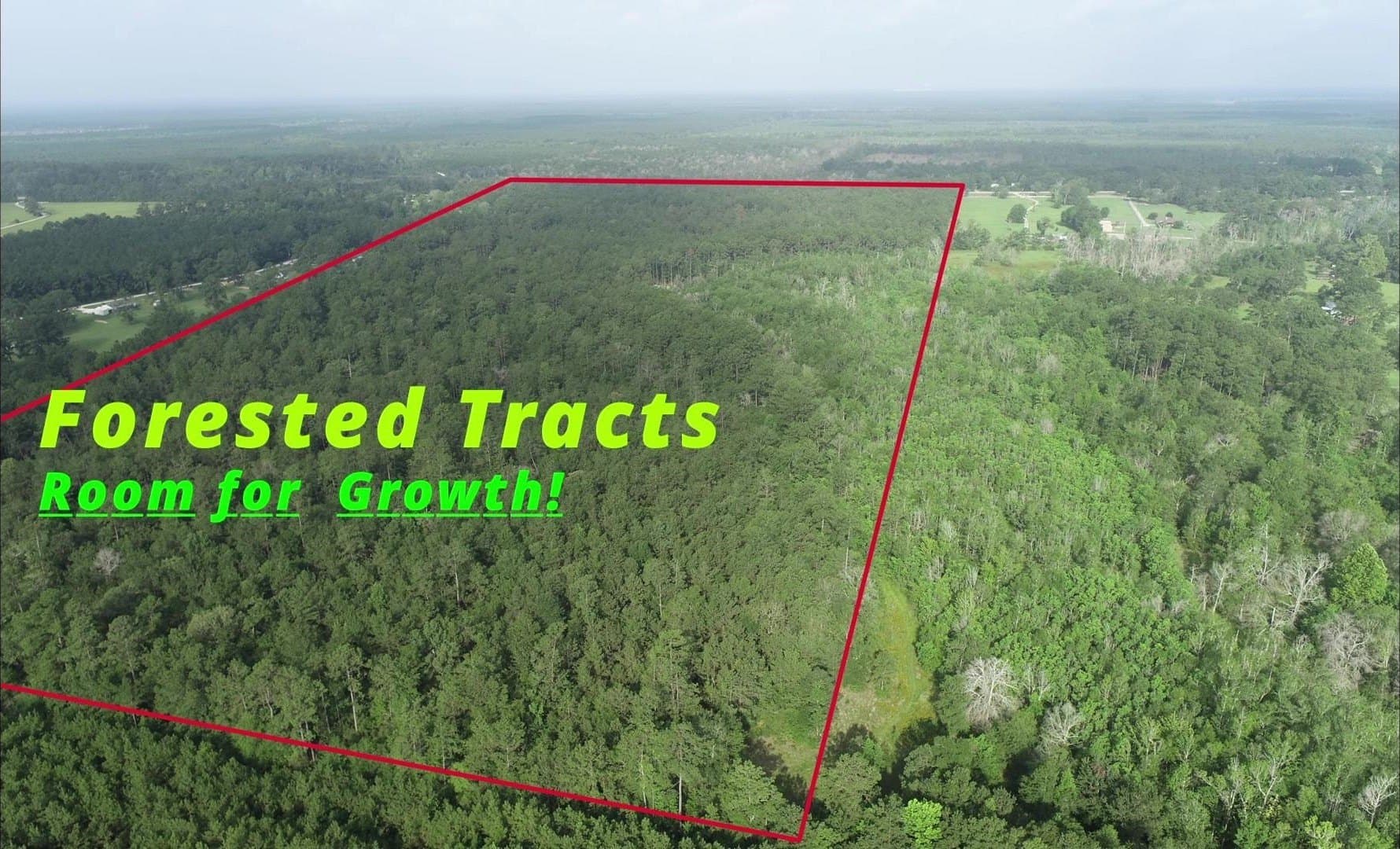 12.42 acres in Texas County - photo 2