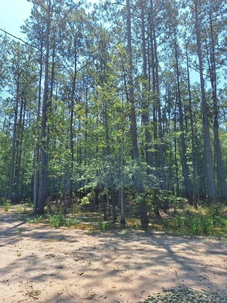 12.42 acres in Texas County - photo 14