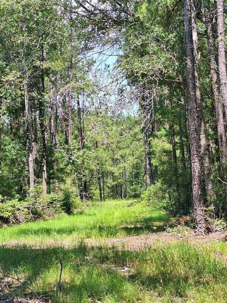 12.42 acres in Texas County - photo 17